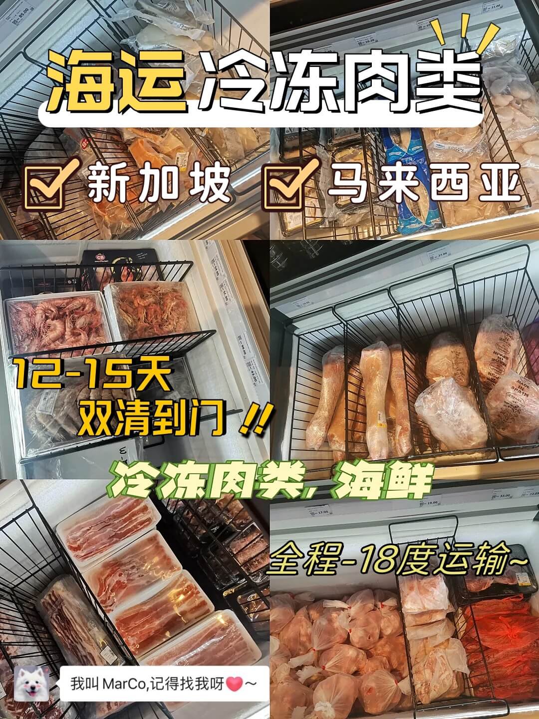 肉类怎么海运到新加坡？